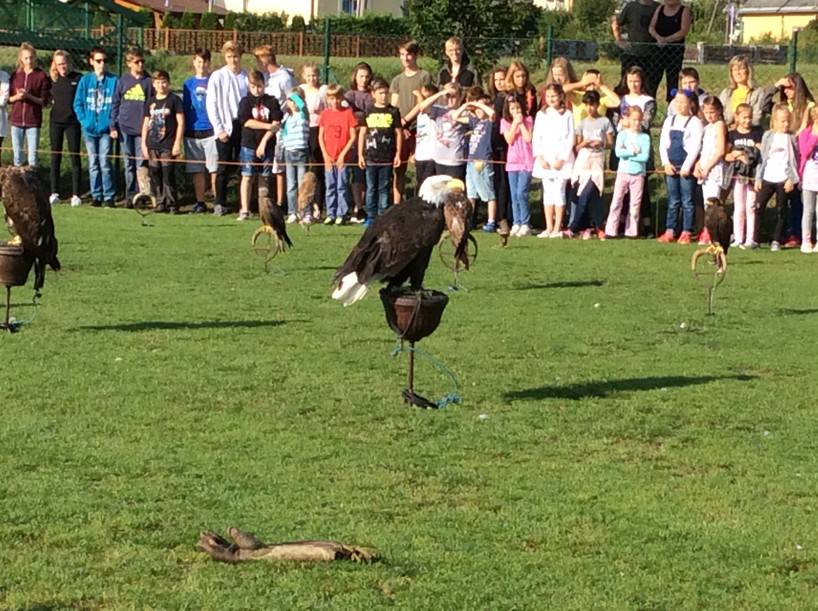 Výukový program - Dravci