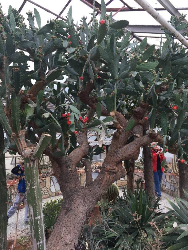 Školní výlet - Olomouc