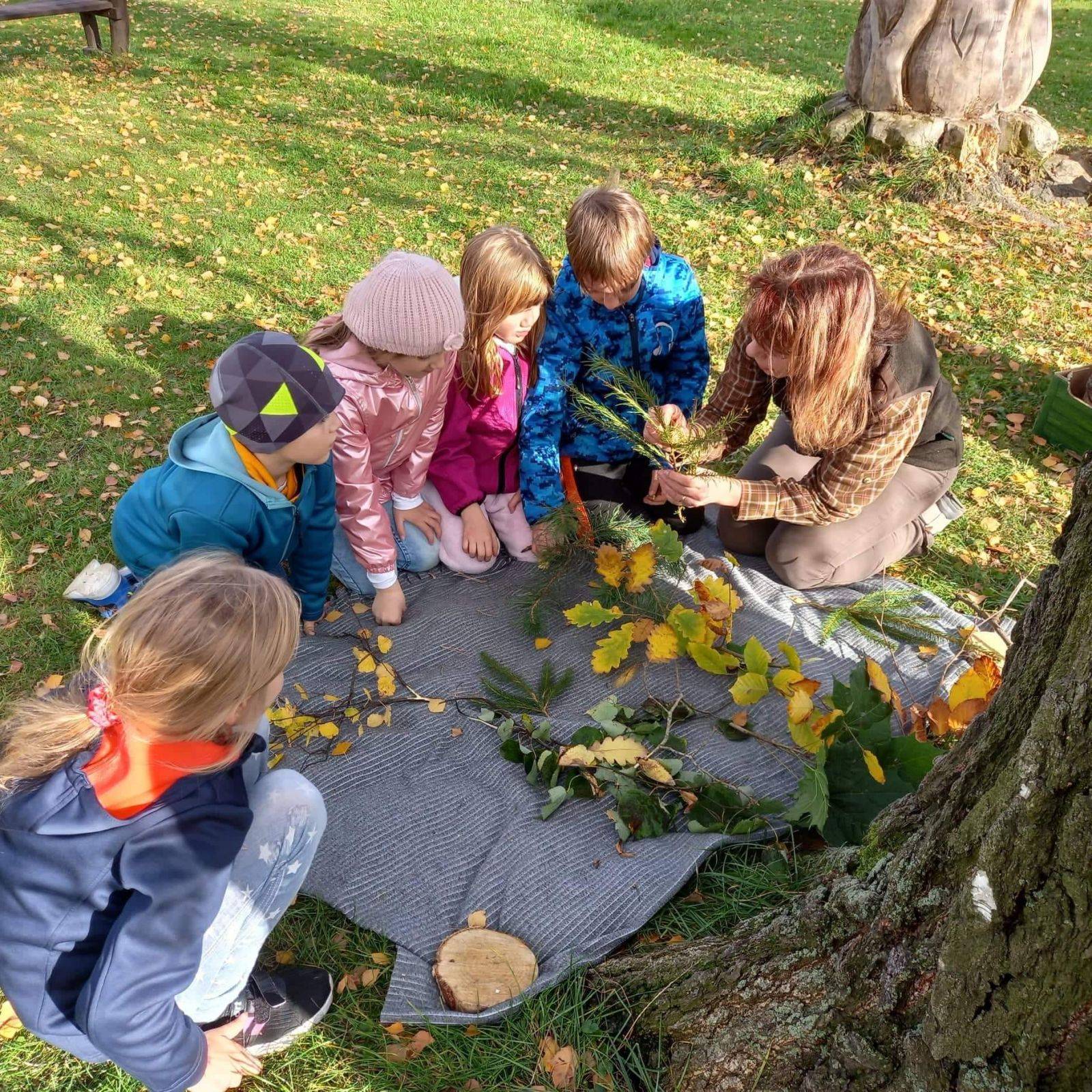 Vnímáme les všemi smysly