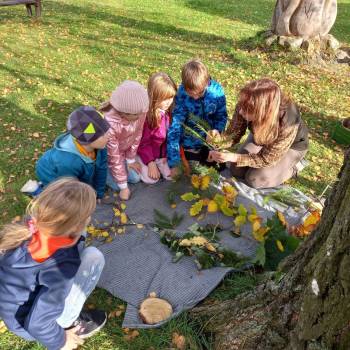 Vnímáme les všemi smysly